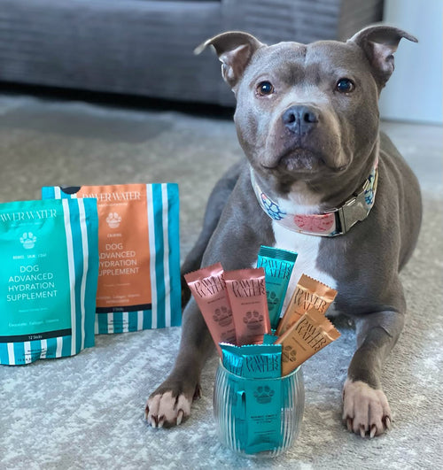 Best Value : Ultimate Wellness Bundle