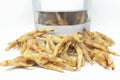 Chicken Feet Dog Chews | Natural USA Made Dog Treats