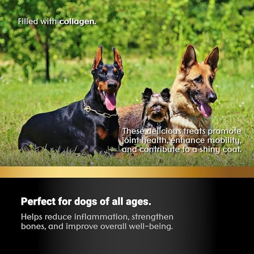 Braided Collagen Dog Sticks – Natural Beef Chew