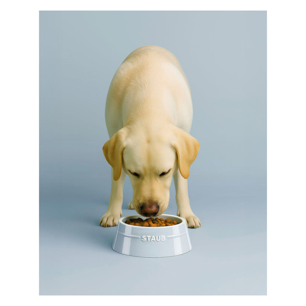 STAUB Ceramique Pet Bowl 400 ml, Ceramic, Light Blue