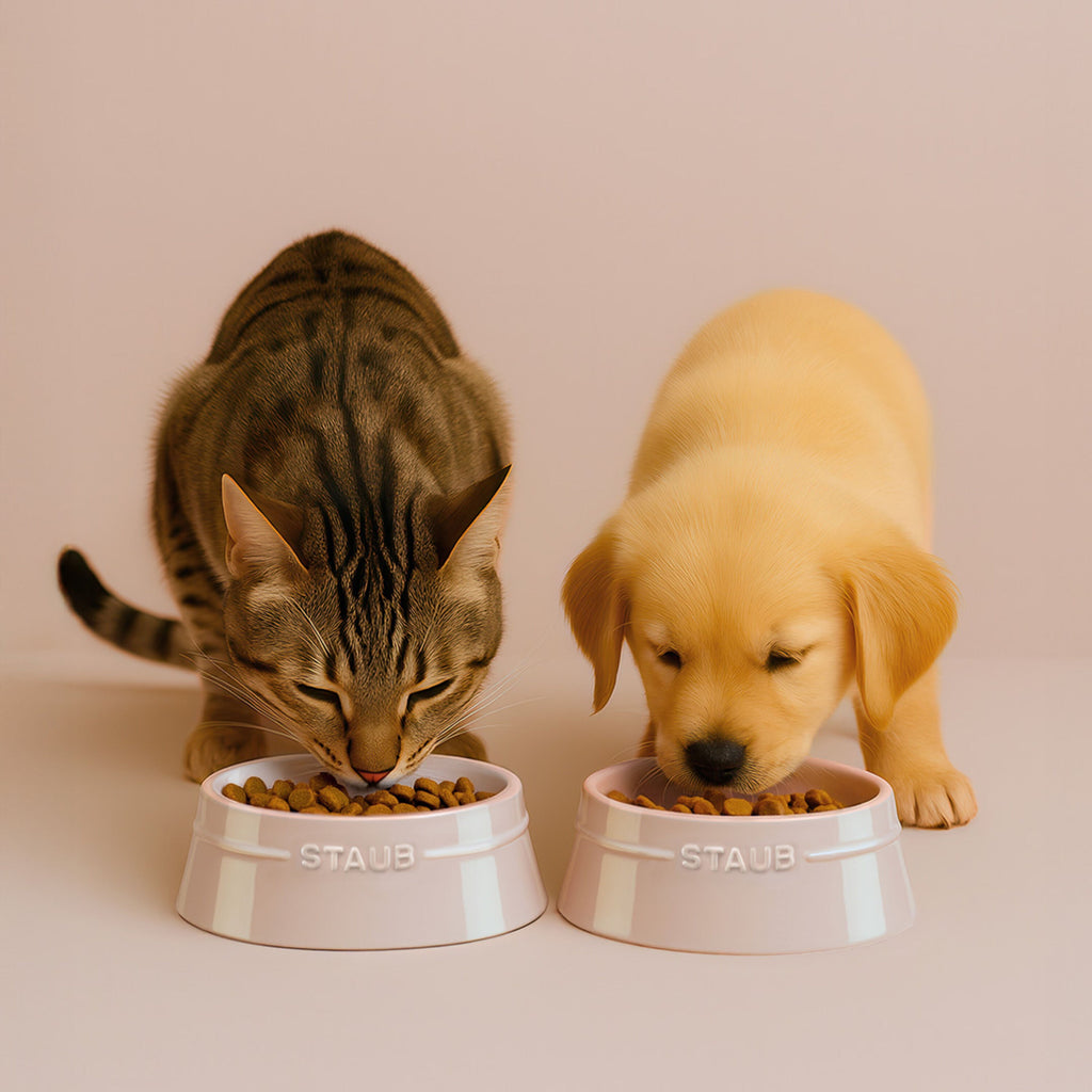 STAUB Ceramique Pet Bowl 800 ml, Ceramic, Light Pink
