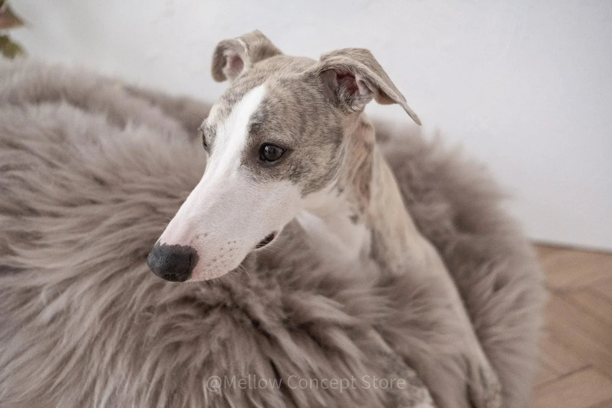 Oval Natural Sheepskin Pet Bed - Greige