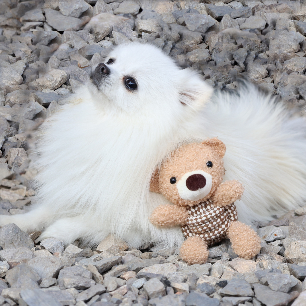 Squeaky Rope Buddies