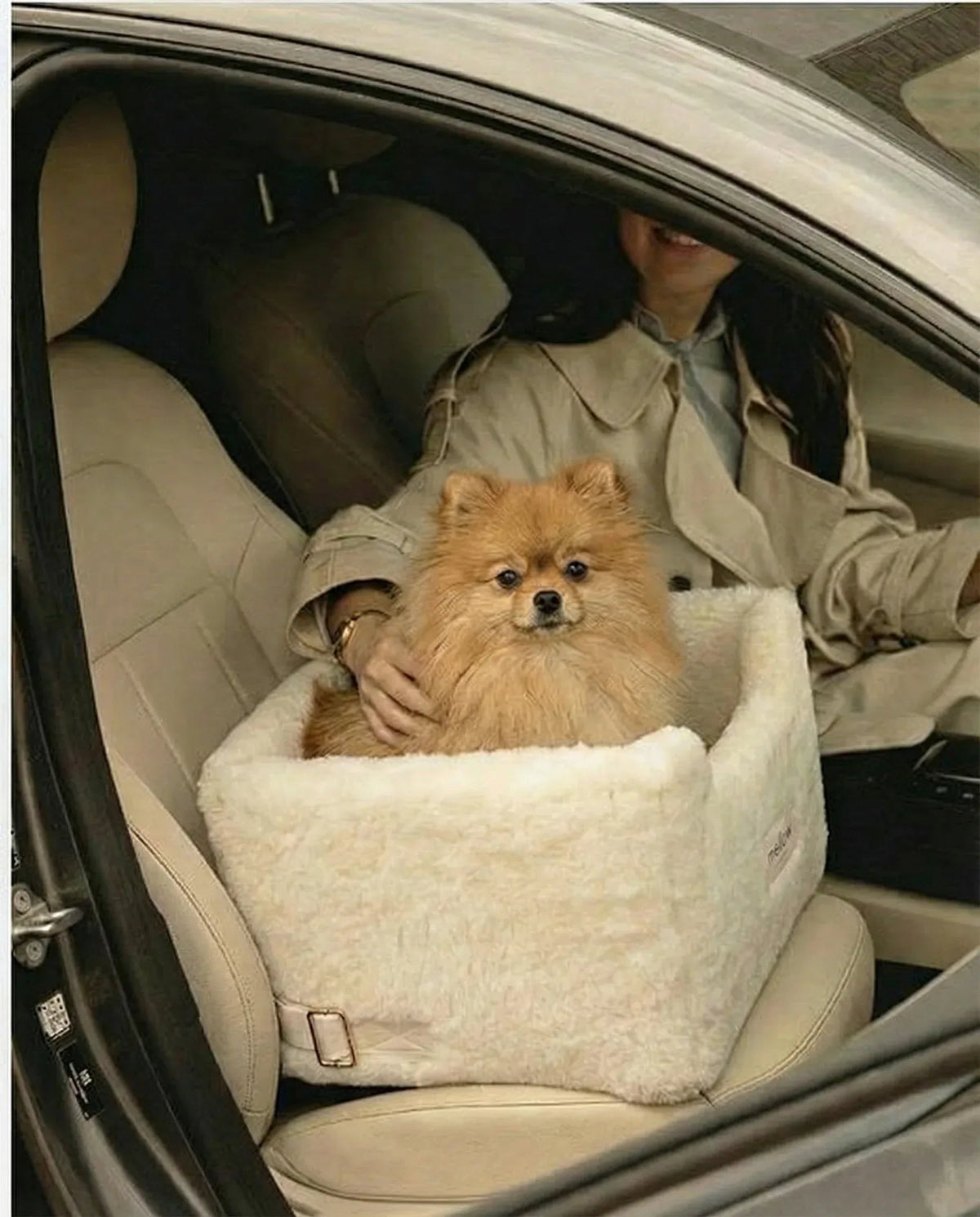 Natural Wool Dog Carrier - Beige