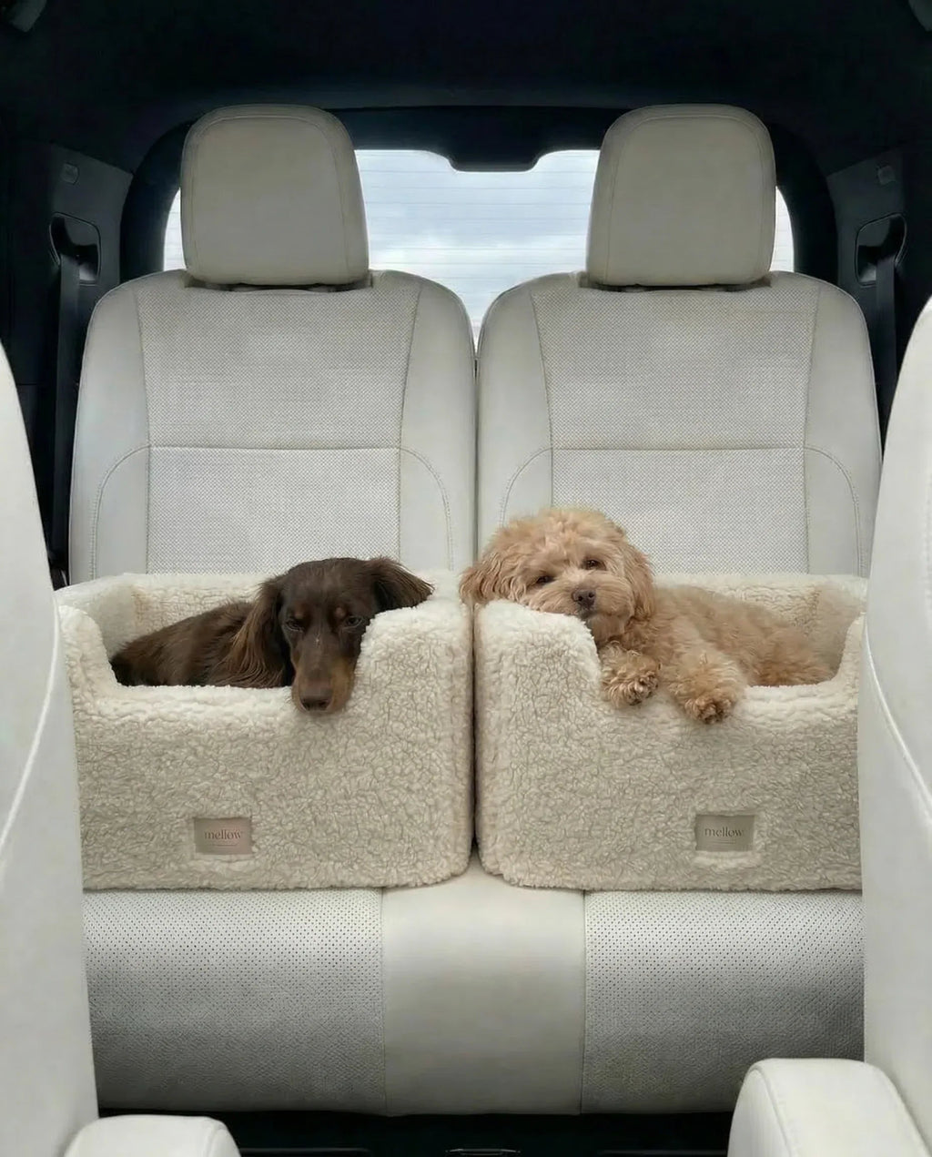 Natural Wool Dog Carrier - Beige