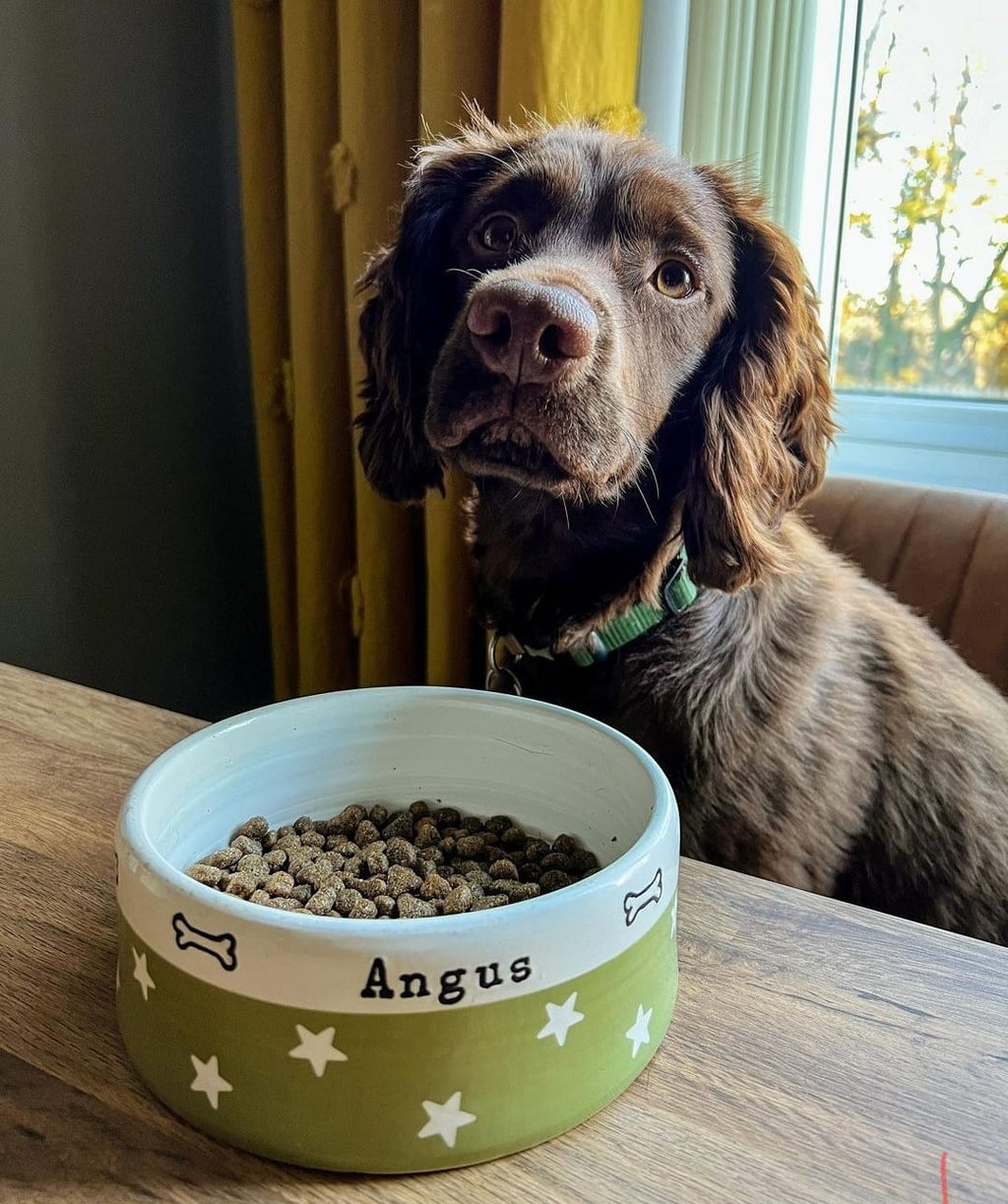 Medium Dog Bowls