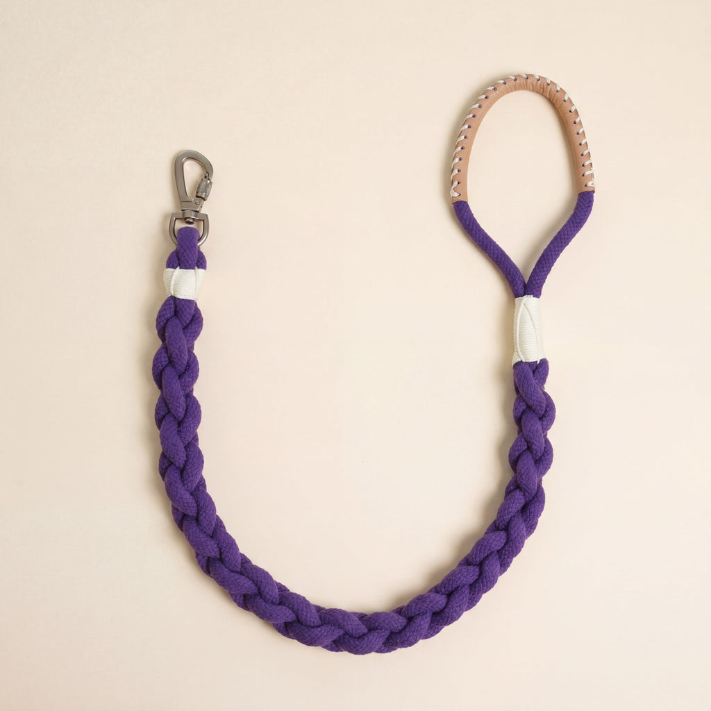Xena Wanderlust Dog Leash Collection