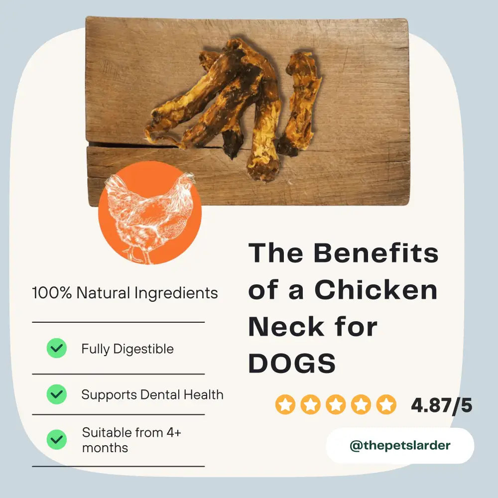 Chicken Neck Natural Meat Chew For Dogs