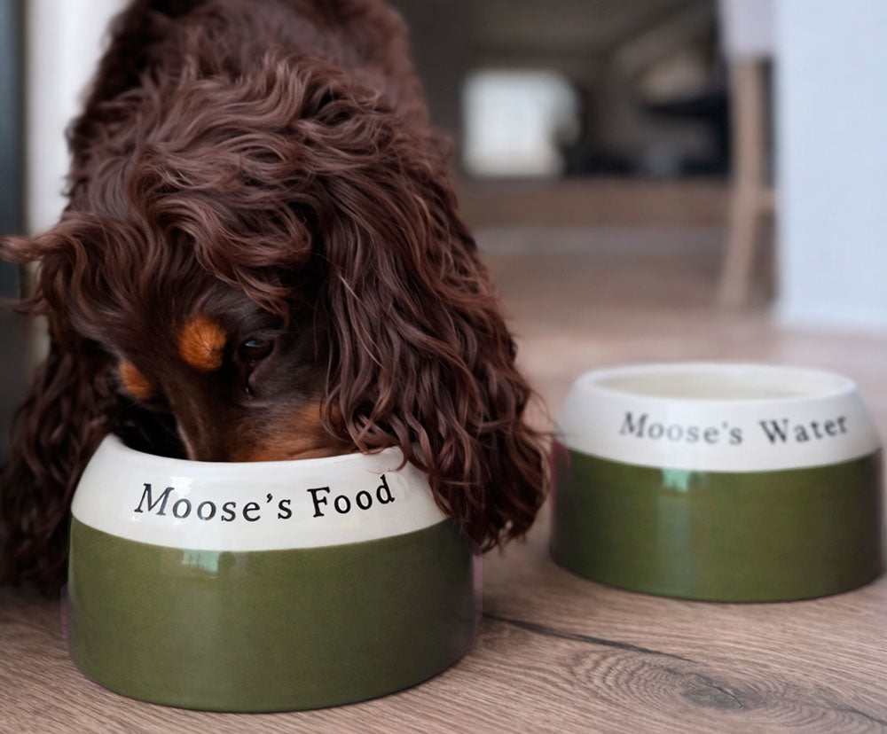 Personalised Ear Free Cocker Spaniel Bowl