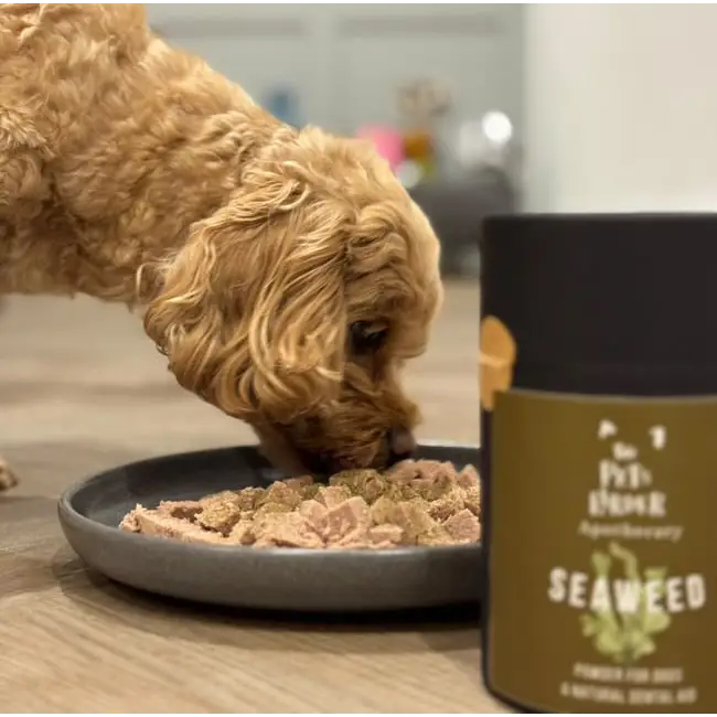 Dental Seaweed Powder for Dogs & Cats: Plaque Removal