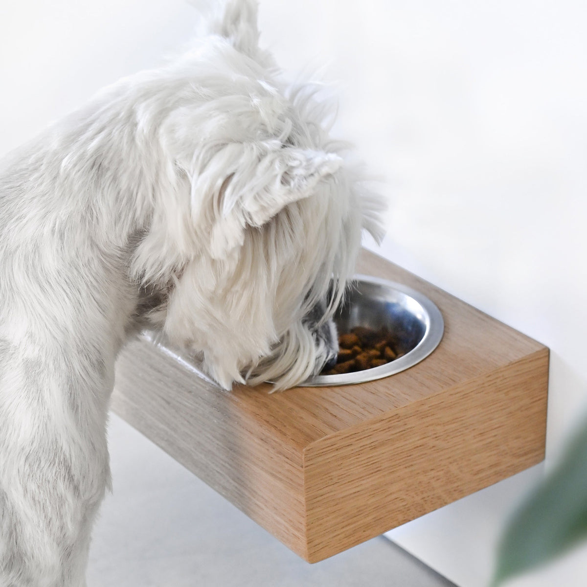 Small Dogs and Cats Wooden Elevated Stand, Young Dog Stand with Bowls