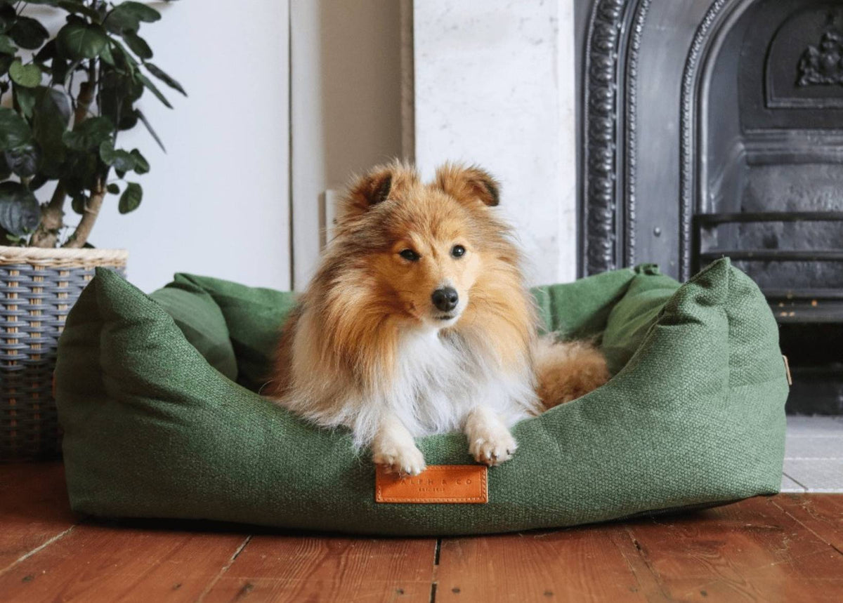 THE RICHMOND | LUXURY GREEN BOLSTER DOG BED