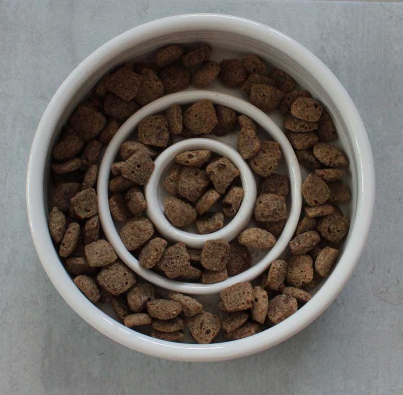 Medium Dog Bowls