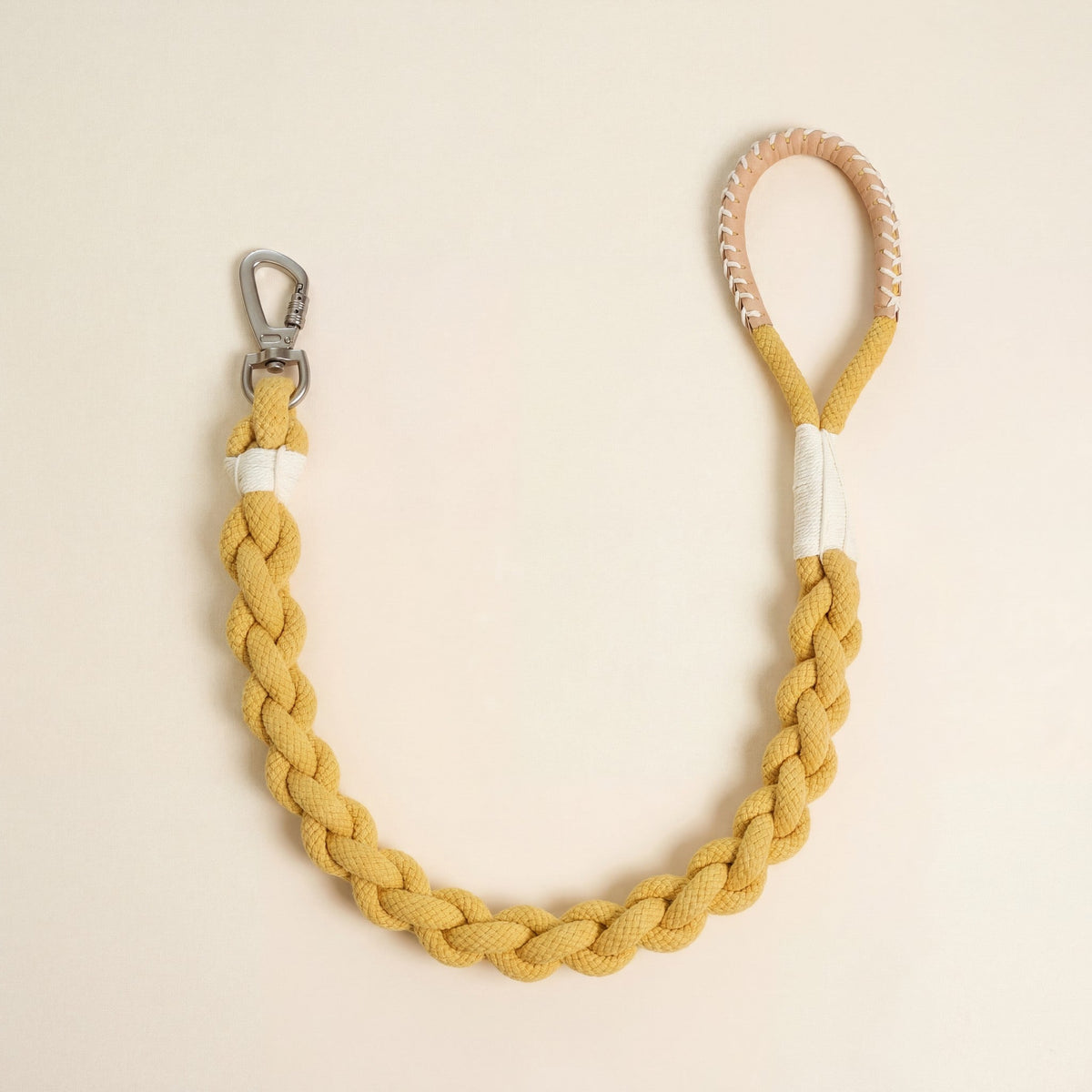 Xena Wanderlust Dog Leash Collection