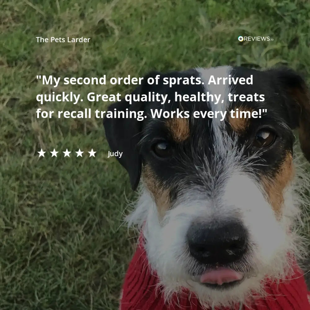 Rabbit Ear with Fur Natural Meat Chew For Dogs