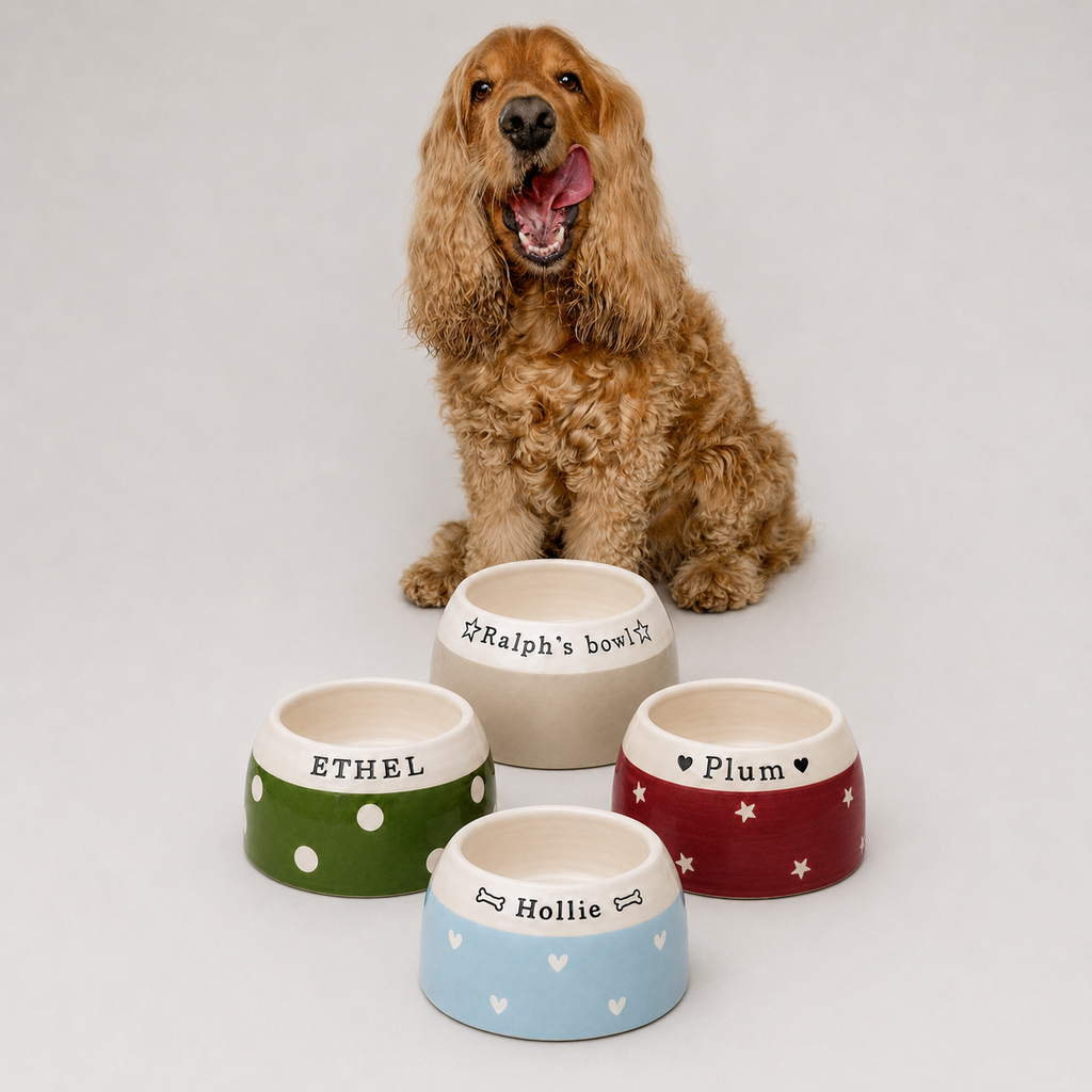 Personalised Ear Free Cocker Spaniel Bowl