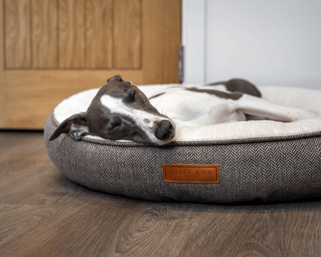 THE LINCOLN | LUXURY TWEED CALMING DONUT DOG BED