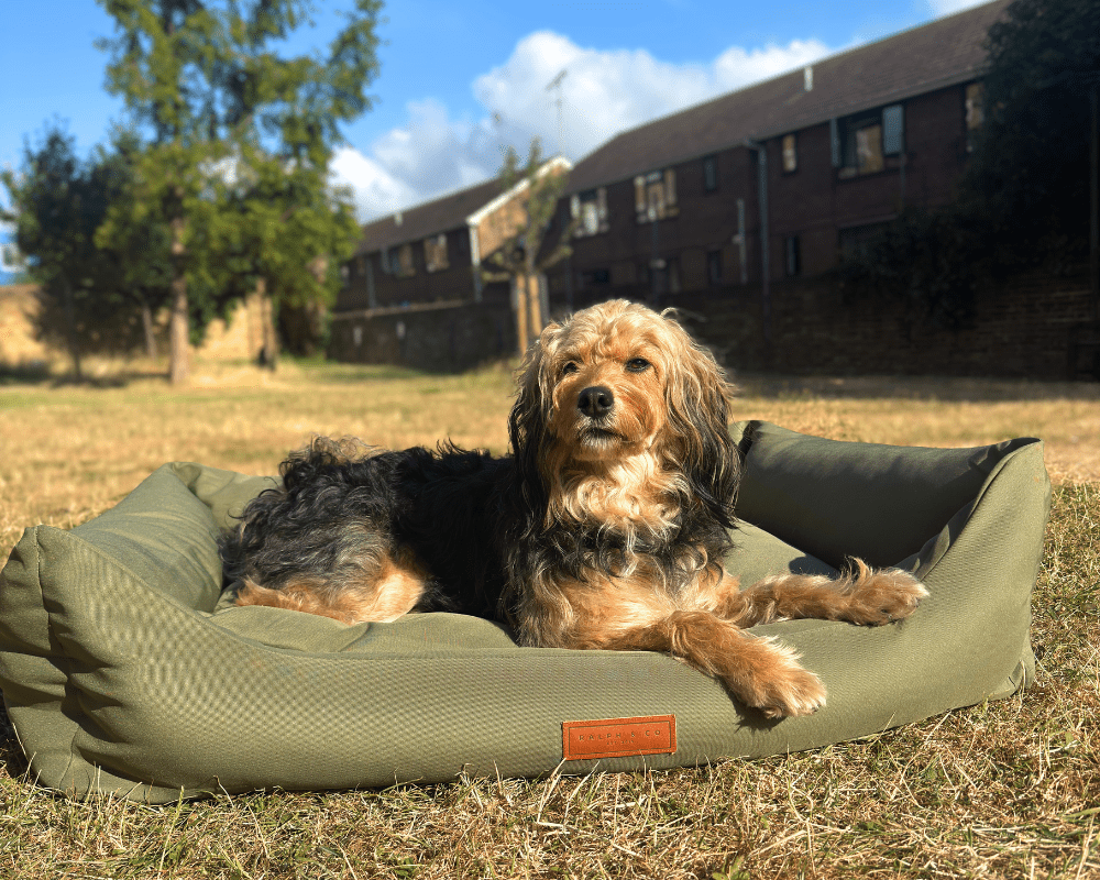 THE HENLEY | LUXURY ORTHOPAEDIC WATERPROOF BOLSTER DOG BED